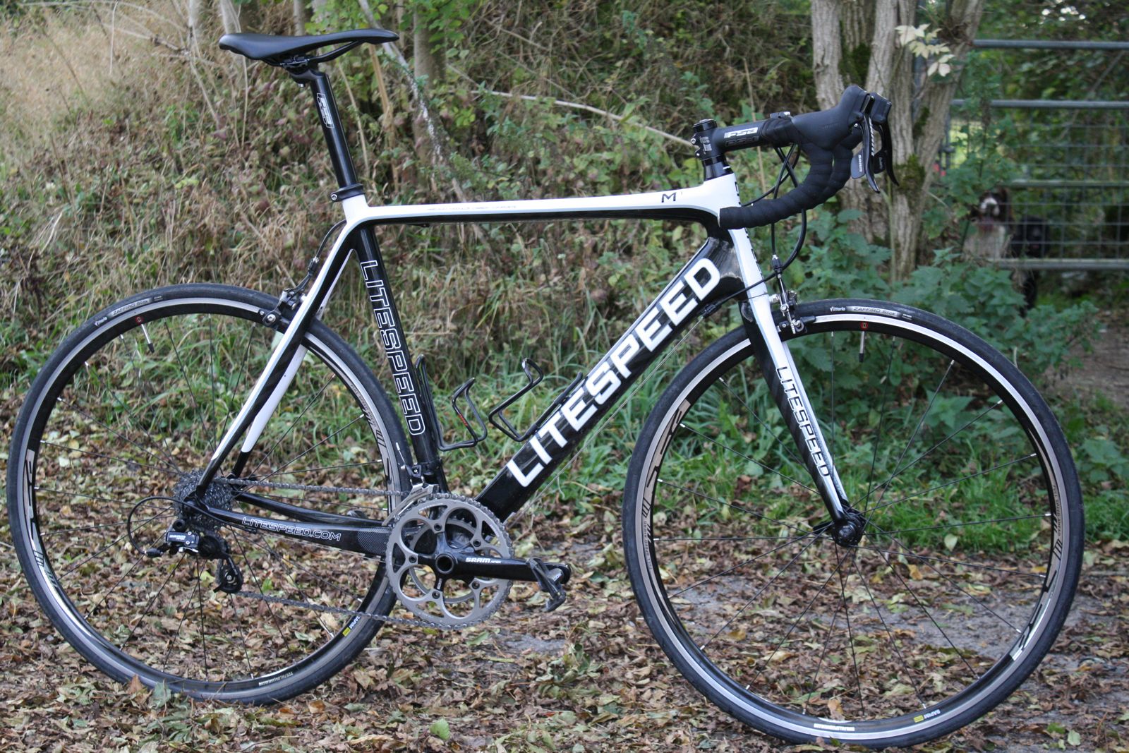 litespeed m1